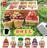 🐻（ 全套 6 隻）新鮮菜鳥 -  Jinart X 無所侍侍 聯名 盲盒 扭蛋 盒玩 🤍台灣代購
