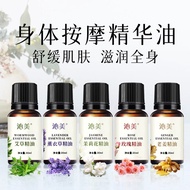 艾草玫瑰精油身体按摩油推拿按摩精油植物按摩精油wormwood rose essential oil body massage oil massagerba0401my20260130