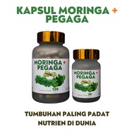 Kapsul Moringa plus Pegaga | Moringa plus Centella Asiatica Capsule