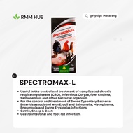 L-Spec Injectable [EXCELLENCE] - RMM HUB (1PC) VR NO. 1228