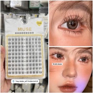 Muse X46 eyelashes - Separate eyelashes attached to each cluster