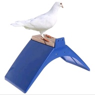 Pigeon Perch Pigeon Wooden Coaster Perch