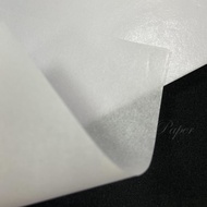 Fion Mass Sale White Sydney Paper-All K/2K/3K/4K/8K-Translucent Wrapping Paper/Liner Paper/Shirt Pap
