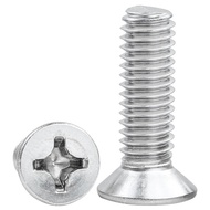 Iron Galvanized Phillips Flat Head Screw Flat Head Machine Screw Electronic Screw M10/M12