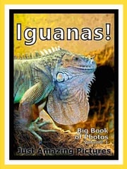 Just Iguana Lizard Photos! Big Book of Photographs &amp; Pictures of Iguana Lizards, Vol. 1 Big Book of Photos