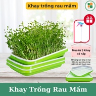Bean sprout tray, sprout growing tray - Type 1 (odorless, durable, beautiful made from virgin plasti