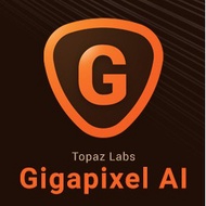 Topaz Gigapixel AI 4 (Premium PC Software)