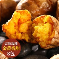 愛上新鮮-完熟黃金冰烤地瓜(8包)