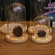 Decorative Clear Cloche Glass Display Dome With LED Wooden Base