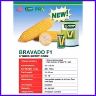 ◐ Bravado F1 Hybrid Sweet Corn Pack - Condor Quality Seeds