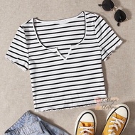 Kathryn PLUS SIZE Cotton Knit Striped Notched Neck Tee 31124