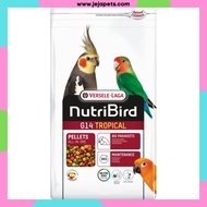 [WHOLESALE] Versele Laga NutriBird G14 - Tropical Big Parakeets - Maintenance 3kg
