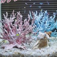 🔥🔥akuarium*aquarium filter* Tangki ikan simulasi karang tumbuhan akuatik lansekap set akuarium set hiasan hiasan plast