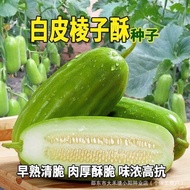 White Skin Prisma Seed Prisma Seed Octagonal Crispy Melon Super Large Vegetable Melon Seed Imported 