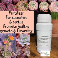 🌳In Stock🌳Fertilizer for Succulents. Fertilizer for Cactus 200ml