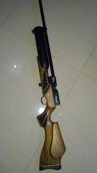 bocap monolite popor kayu