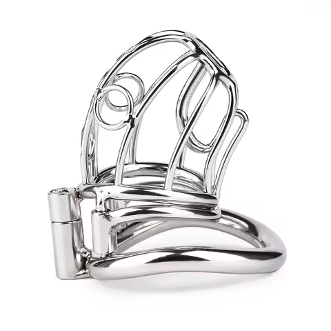 FRKO Stainless Steel PA Piercing Hollow Chastity Cage Lockcock Elastic Belt Male CBT Adult Gaems SM