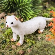 Children's Enlightenment Simulation Wild Animal Ferret Blindfolded Ferret Forest Ferret Model Solid 