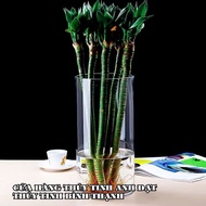 Decorative glass flower vase DK12xH20, cylindrical glass flower vase, cylindrical flower vase, candl