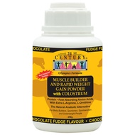 21ST CENTURY WEIGHT GAIN POWDER 250G