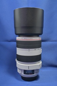 新淨 Canon 70-300mm L USM 輕巧紅圈長鏡 演唱會 旅拍 一流 肥白 可租用 5D 6D 7D 90D R5 R6 R8