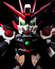 代工 SDCS Wing Gundom Zero Ew 高達模型 上色成品 (不包模型)