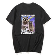 IDK How Much Longer I Can Slay Funny Raccoon Meme T Shirts Men's Women Fashion Vintage T-shirt Casua