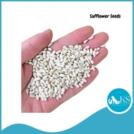 KSPH Bird Safflower Seeds 1kg Small Parrot Bird Feed Food Diet