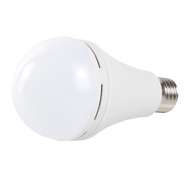 (fourclovers)emergency light/emergency light/hanging emergency light/light