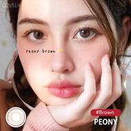 LENS PEONY (BROWN/GRAY) (15/16mm) BY DAISY.LENS