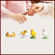 [Blesiya2] Life Cycle of Chicken Toys Realistic Cake Toppers Animal Growth Cycle Set