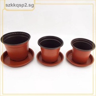 20pcs x Flower pot +20pcs tray Mini Plastic Round Flower Pot Holder Nursery Planter Grow Box  SGK2