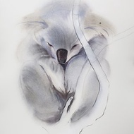 Koala bear. Watercolor painting on paper