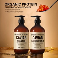 Caviar Amino Acid Shampoo Moisturizing Repair Caviar Conditioner Set English251130