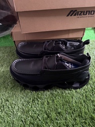 Mizuno wave prophecy mon