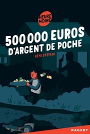 500 000 euros d'argent de poche Rémi Stefani
