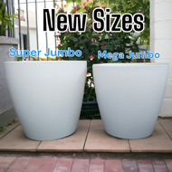 Biggest and Bigger Sizes Classy/ Yayamanin Pots. Great for your big plants or minimalist tree.