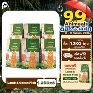 Animeals Sensitive 7.2 kg. อาหารแมว สูตรสำหรับแมวแพ้ง่าย ขนร่วง ผื่นขึ้น ผิวแดง แพ้อาหาร รสแกะและปลา