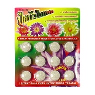 Lotus / Waterlily / Aquatic Plants Fertilizer / Bitex Fertilizer Tablet 200g