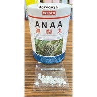 Repack Wesco ANAA Pil Hormon Nanas Nenas Alpha Naphthyl Acetic Acid Pineapple Hormones Pill ANAA 黄梨药