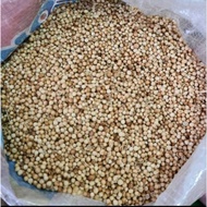 Coriander 1Kg Coriander Seed