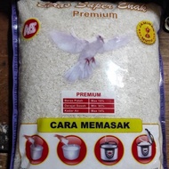 ready beras premium burung dara 5 kg murah