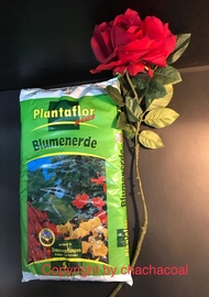 Deutschland Made.  Plantaflor Plus Potting Soil . BLUMENERDE  Potting Soil Garden Soil, Premium Soil , Available immediately,  with Mineral additives &amp; Organic additives, 5 Litre / 1 kg