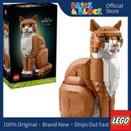 LEGO 21376 Orange Cat | LEGO IDEAS