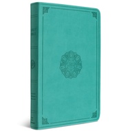ESV LARGE PRINT VALUE THINLINE BIBLE