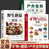 Mineral and Rock Illustrated Book Wild Mushroom Illustrated Book Outdoor Survival Illustrated Book H