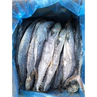 (Borong)Ikan Masin Tengiring Jeruk 12kg/carton (Salted Fish)