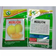 BENIH BIBIT MELON GOLDEN MERLION F1 PERTIWI