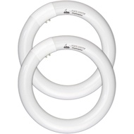 FC8T9/CW Circular Fluorescent Light Bulb, 8 Inch Round T9 22W Circline Bulbs Replacement for Circle 