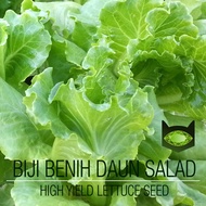 5000 BIiji Benih Daun Salad, Sayur Salad, Benih Bermutu Tinggi / Lettuce Seed, High Yield Seeds